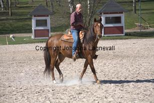 western_9663.jpg