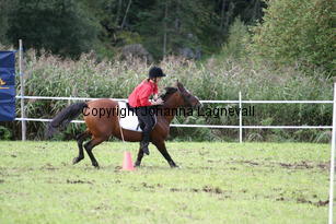 img_2479.JPG