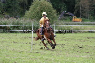 img_2532.jpg