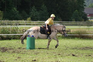 img_2666.jpg