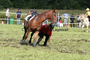 img_2682.jpg