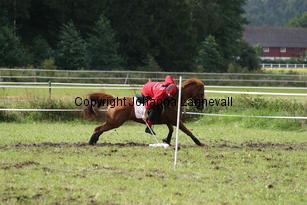 img_2703.jpg