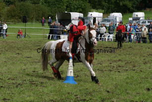 img_2727.jpg