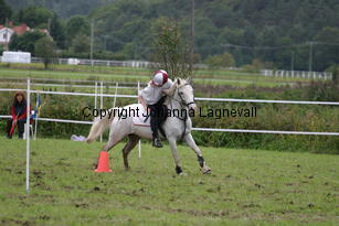 img_2865.jpg