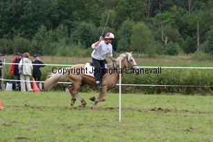 img_2874.jpg