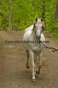 gabesch_7229-3.jpg