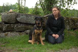 hund2_7099.jpg