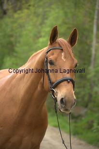 lighten_7205.jpg