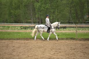 lordwhitney_6947.jpg