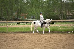 lordwhitney_6949.jpg