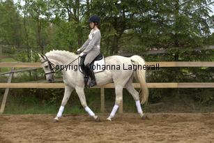 lordwhitney_6960.jpg