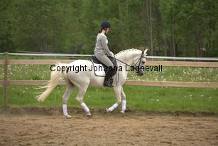 lordwhitney_6972.jpg