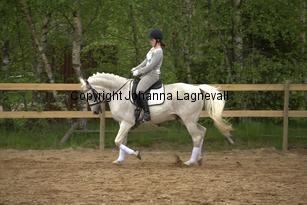 lordwhitney_7002.jpg