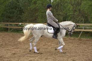 lordwhitney_7003.jpg