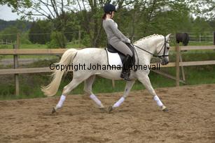 lordwhitney_7005.jpg