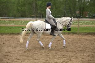 lordwhitney_7011.jpg