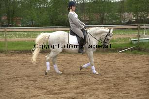 lordwhitney_7012.jpg