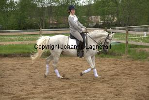 lordwhitney_7013.jpg