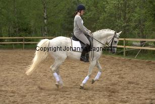 lordwhitney_7015.jpg