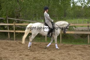 lordwhitney_7016.jpg