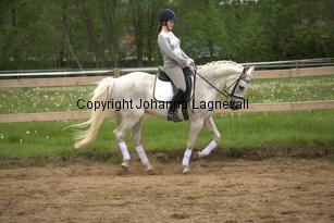 lordwhitney_7018.jpg