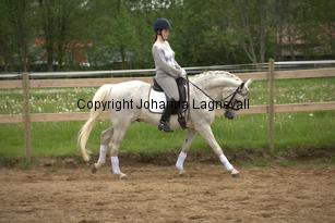 lordwhitney_7019.jpg