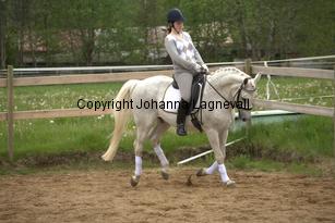 lordwhitney_7020.jpg