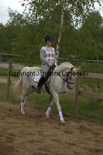 lordwhitney_7022.jpg