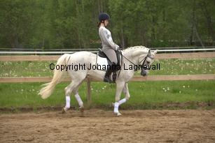 lordwhitney_7026.jpg
