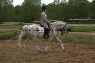 lordwhitney_7036.jpg