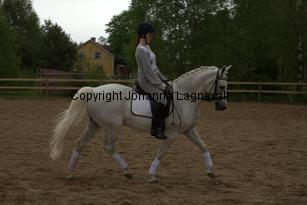 lordwhitney_7038.jpg