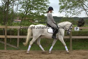 lordwhitney_7041.jpg