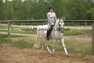 lordwhitney_7042.jpg