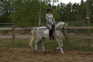 lordwhitney_7049.jpg