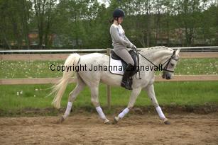 lordwhitney_7054.jpg