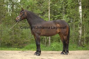 royal_6670.jpg