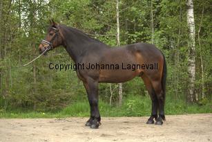 royal_6672.jpg