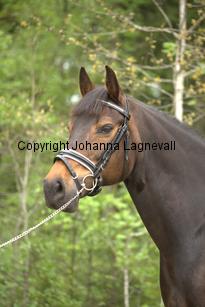 royal_6674.jpg