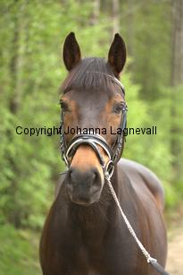 royal_6679.jpg
