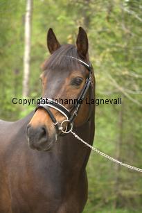 royal_6694.jpg