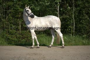 lordwhitney_7455.jpg