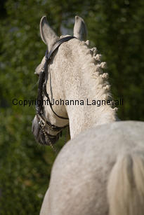 lordwhitney_7459-2.jpg