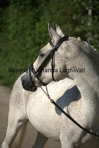 lordwhitney_7480.jpg