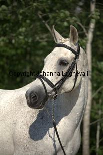 lordwhitney_7483.jpg
