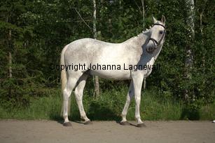 lordwhitney_7484.jpg