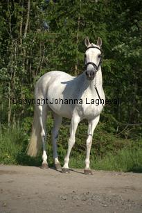 lordwhitney_7496.jpg