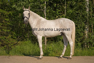 lordwhitney_7498-2.jpg