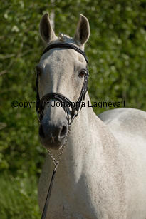 lordwhitney_7500-2.jpg