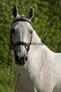 lordwhitney_7503-2.jpg