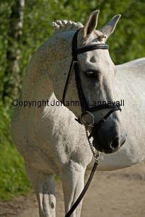 lordwhitney_7504-2.jpg